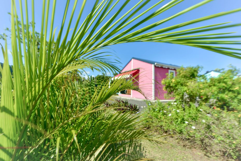 palms and the pink bungalow